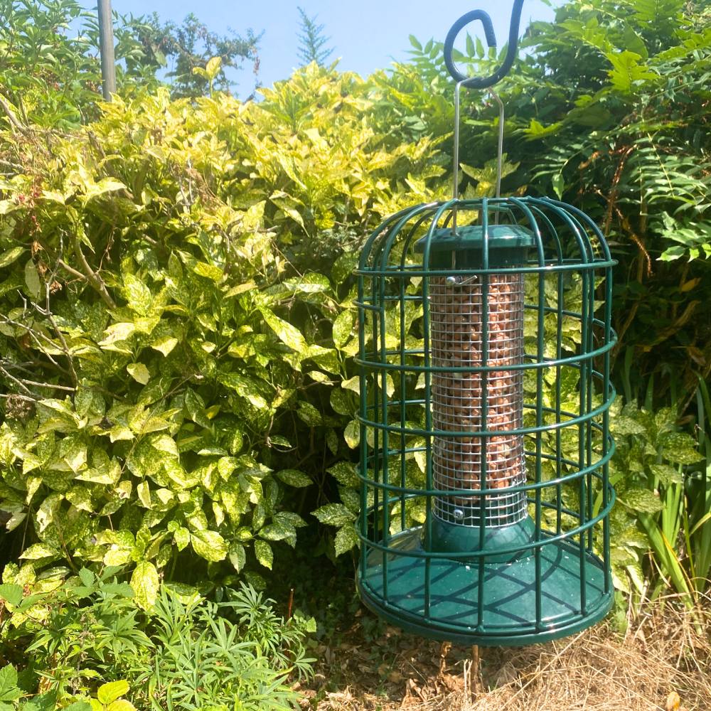 Guardian Squirrel Proof Peanut Feeder